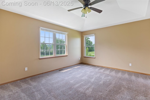 12172 Rynn Rd, Emmett, MI 48022 - unfurnished room with carpet, baseboards, and a ceiling fan