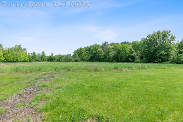 12172 Rynn Rd, Emmett, MI 48022 - view of nature featuring rural landscape