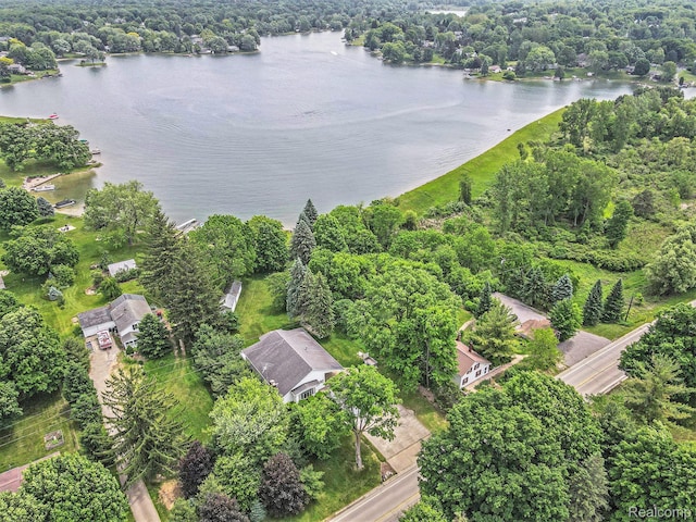 3277 Baldwin Rd, Metamora, MI 48455 - aerial view of a large body of water