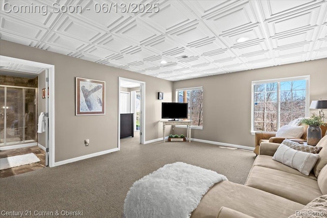 619 Winwood Cir, Walled Lake, MI 48390 - carpeted living area with baseboards and an ornate ceiling
