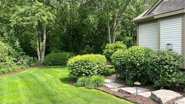 763 Chemung Forest Dr, Howell, MI 48843 - view of green lawn