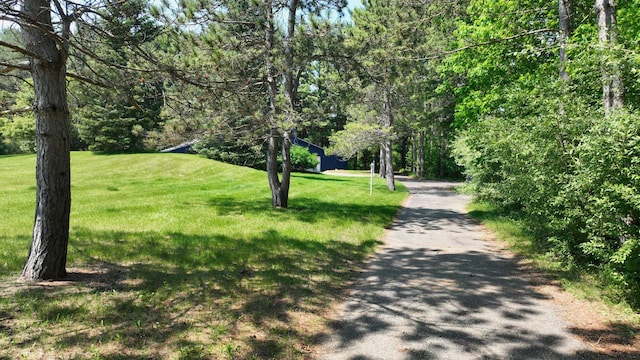 160 Wire Line Rd, Caro, MI 48723 - view of property's community featuring a lawn