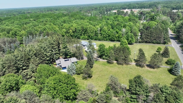 160 Wire Line Rd, Caro, MI 48723 - aerial view of a heavily wooded area