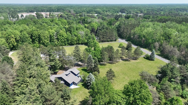 160 Wire Line Rd, Caro, MI 48723 - bird's eye view of a forest
