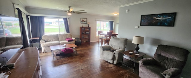 1781 Davis St, Muskegon, MI 49441 - living room with ornamental molding, a ceiling fan, wood finished floors, and a textured ceiling