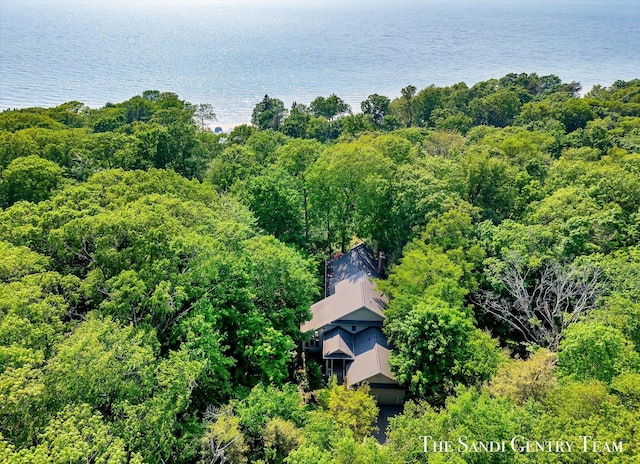 8985 Lakeshore Dr, West Olive, MI 49460 - view from above of property featuring a large body of water and a heavily wooded area