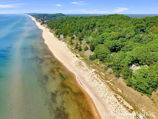 8985 Lakeshore Dr, West Olive, MI 49460 - bird's eye view of a heavily wooded area and extended coastline