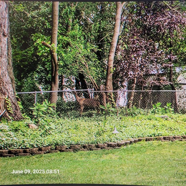 219 W Hamilton Ln, Battle Creek, MI 49015 - view of yard