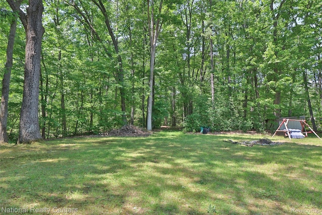 10475 W Higgins Lake Dr, Roscommon, MI 48653 - view of green lawn featuring a wooded view