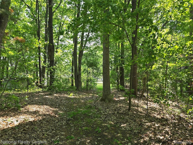 10475 W Higgins Lake Dr, Roscommon, MI 48653 - view of woods