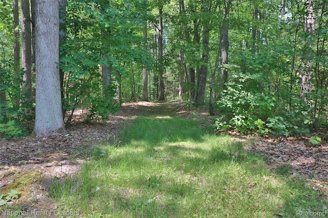 10475 W Higgins Lake Dr, Roscommon, MI 48653 - view of yard