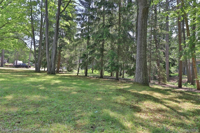 10475 W Higgins Lake Dr, Roscommon, MI 48653 - view of grassy yard