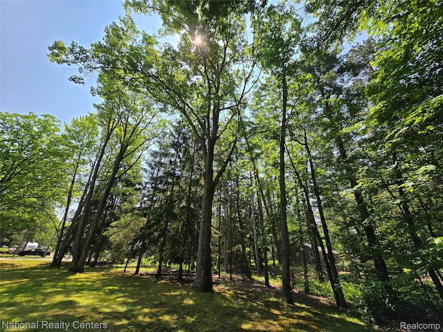 10475 W Higgins Lake Dr, Roscommon, MI 48653 - view of nature