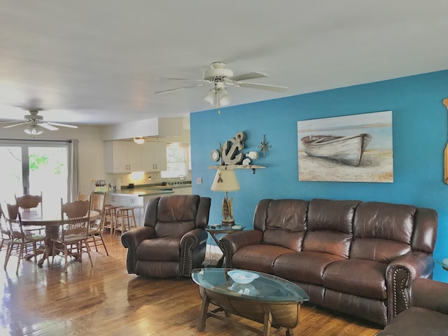66223 Grey Lake Rd, Sturgis, MI 49091 - living area featuring a ceiling fan and wood finished floors