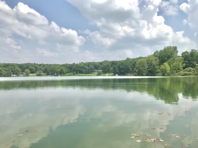 66223 Grey Lake Rd, Sturgis, MI 49091 - water view with a heavily wooded area