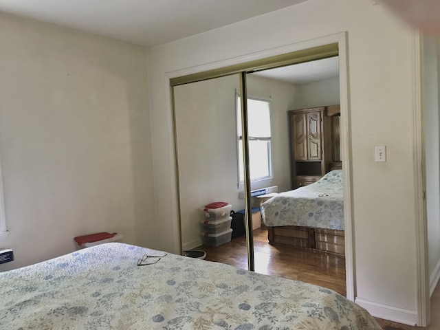 66223 Grey Lake Rd, Sturgis, MI 49091 - bedroom with wood finished floors, a closet, and baseboards