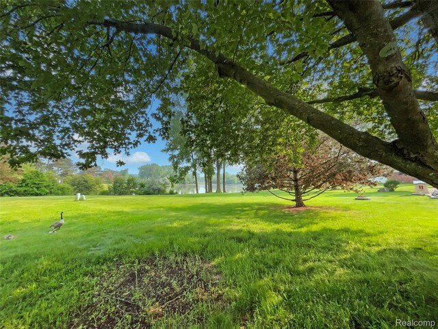 830 Dartmouth Dr, Rochester Hills, MI 48307 - photo 11