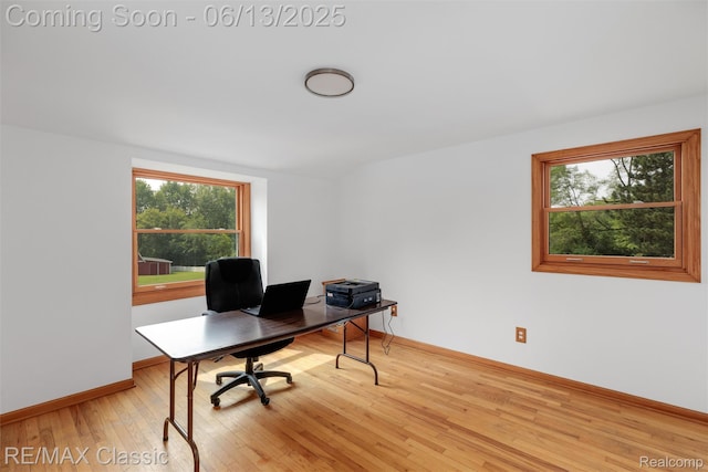 8173 Earhart Rd, South Lyon, MI 48178 - home office with light wood finished floors and baseboards