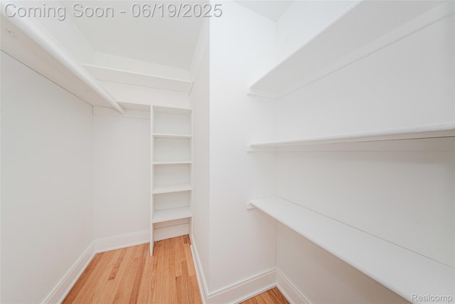 21993 Riverview Dr, Bloomfield Hills, MI 48025 - walk in closet featuring light wood-style flooring