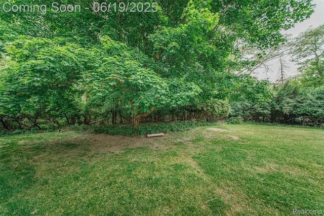 21993 Riverview Dr, Bloomfield Hills, MI 48025 - view of green lawn featuring a forest view