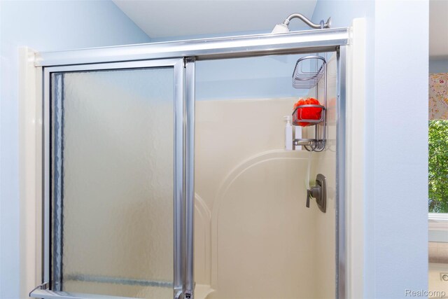 6081 Byram Lake Dr, Linden, MI 48451 - bathroom with a stall shower