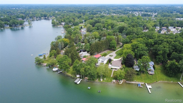 6081 Byram Lake Dr, Linden, MI 48451 - view of property location with a large body of water and a forest