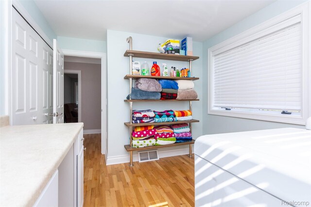 6081 Byram Lake Dr, Linden, MI 48451 - bedroom with light wood finished floors and a closet