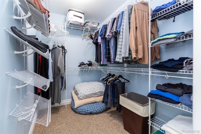 6081 Byram Lake Dr, Linden, MI 48451 - walk in closet featuring carpet flooring