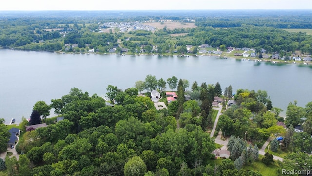 6081 Byram Lake Dr, Linden, MI 48451 - aerial view of a nearby body of water