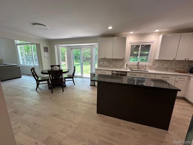 1727 Pero Lake Rd, Lapeer, MI 48446 - kitchen featuring a sink, decorative backsplash, dishwasher, light wood-style flooring, and white cabinets