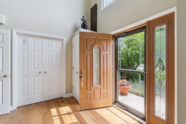 2056 Merlot Ct, Ann Arbor, MI 48108 - foyer featuring light wood-style flooring, a towering ceiling, and baseboards