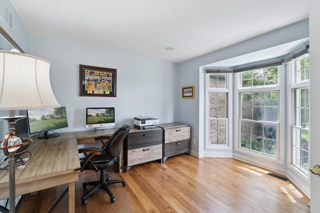 2056 Merlot Ct, Ann Arbor, MI 48108 - office featuring healthy amount of natural light, light wood-type flooring, and baseboards