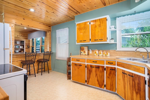 1018 Ruddiman Dr, North Muskegon, MI 49445 - kitchen featuring a sink, light floors, healthy amount of natural light, freestanding refrigerator, and wood ceiling
