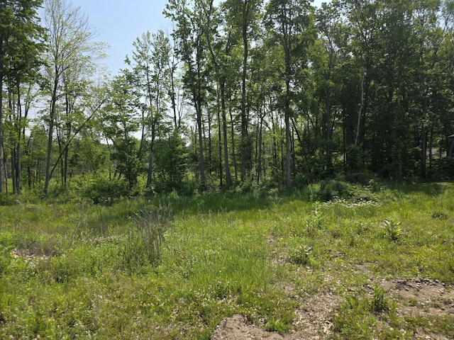 9421 Sassafras Trl Unit 76, Portage, MI 49002 - view of nature