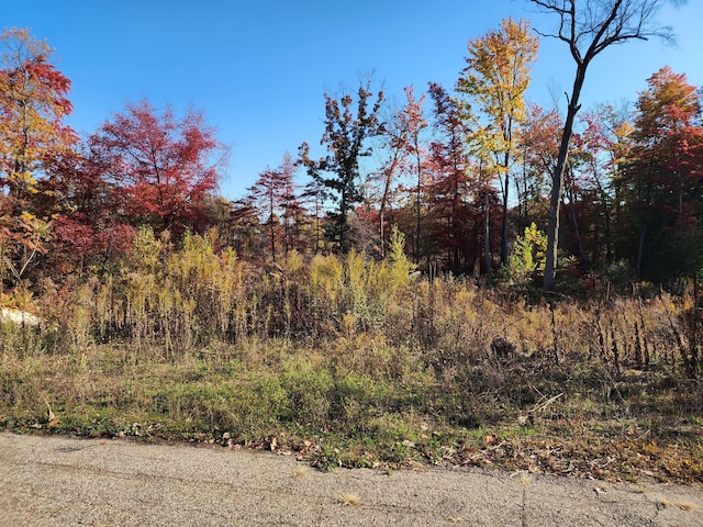 9421 Sassafras Trl Unit 76, Portage, MI 49002 - view of nature