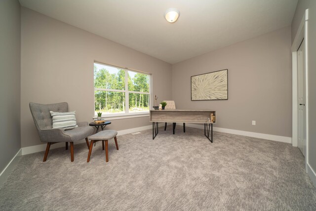 9421 Sassafras Trl Unit 76, Portage, MI 49002 - carpeted office featuring baseboards