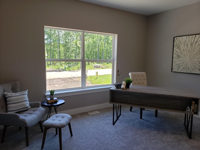 9421 Sassafras Trl Unit 76, Portage, MI 49002 - office area with carpet floors and baseboards