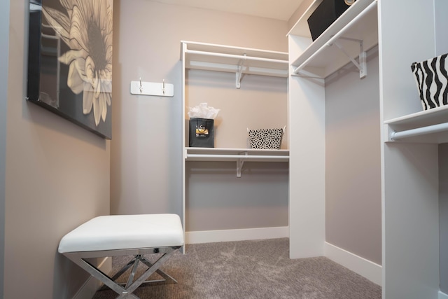 9421 Sassafras Trl Unit 76, Portage, MI 49002 - walk in closet featuring carpet flooring