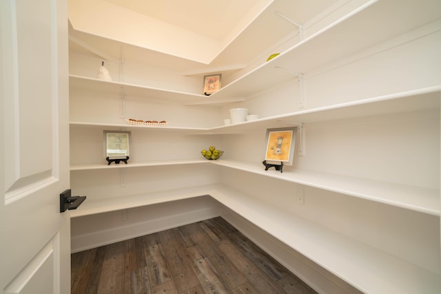 9421 Sassafras Trl Unit 76, Portage, MI 49002 - view of pantry