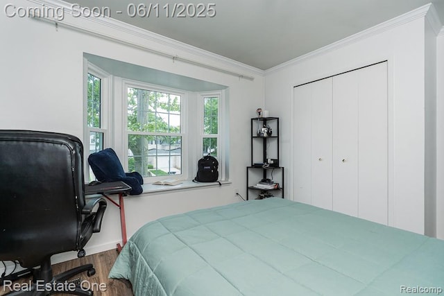 104 Manor Way Unit 1, Rochester Hills, MI 48309 - bedroom with wood finished floors, ornamental molding, a closet, and an office area