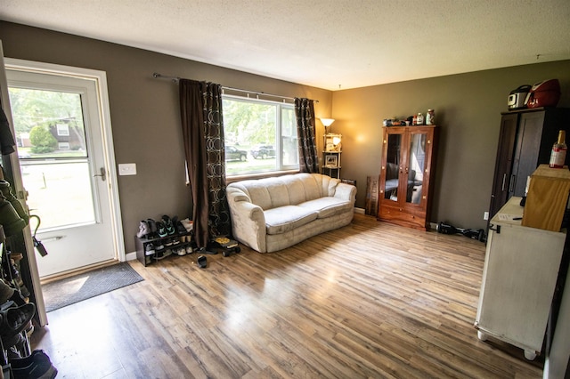 7070 Quain Rd, Birch Run, MI 48415 - living room with wood finished floors and a textured ceiling