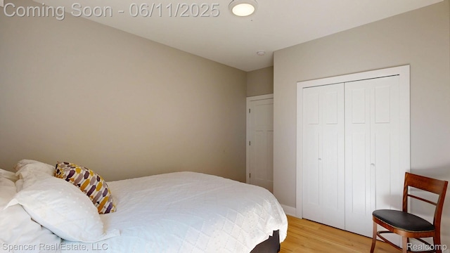 615 Dunleavy Dr, Highland, MI 48356 - bedroom with light wood finished floors and a closet