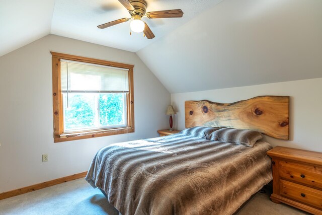 12090 Twin Lake Rd NE, Kalkaska, MI 49646 - photo 40