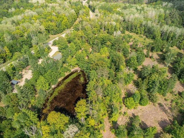 12090 Twin Lake Rd NE, Kalkaska, MI 49646 - photo 19