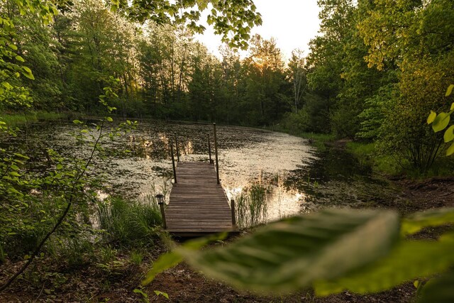 12090 Twin Lake Rd NE, Kalkaska, MI 49646 - photo 46