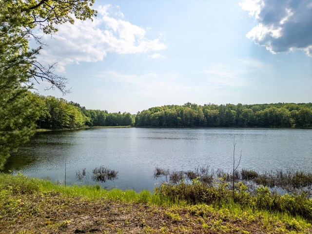 12090 Twin Lake Rd NE, Kalkaska, MI 49646 - photo 20