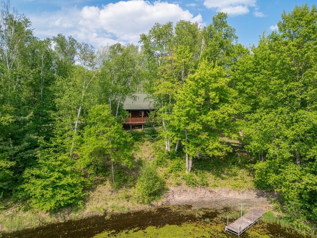 12090 Twin Lake Rd NE, Kalkaska, MI 49646 - photo 3