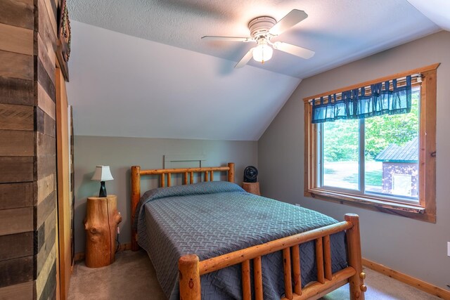 12090 Twin Lake Rd NE, Kalkaska, MI 49646 - photo 43