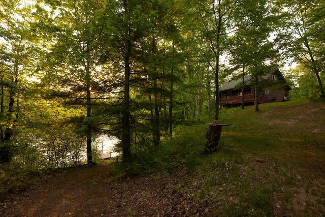 12090 Twin Lake Rd NE, Kalkaska, MI 49646 - photo 48