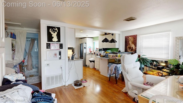579 Dunleavy Dr, Highland, MI 48356 - living room featuring light wood-type flooring